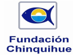 fundacion chinquihue