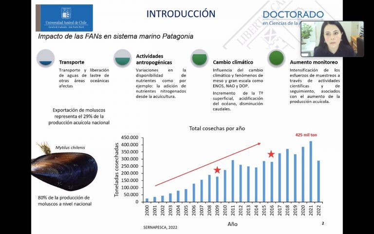 Estudiante UACh realizará tesis doctoral sobre el efecto de las FANs en la vida del Mejillón chileno
